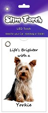 photo of Yorkshire Terrier Torch